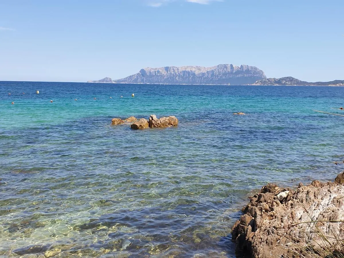 公寓 Home On Sardinia Beach 奧爾比亞
